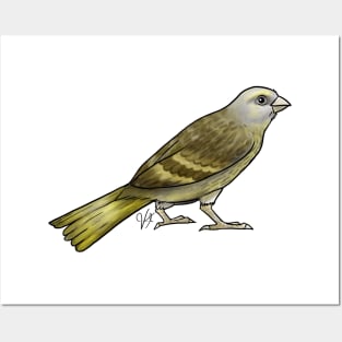 Bird - Canary - Green Posters and Art